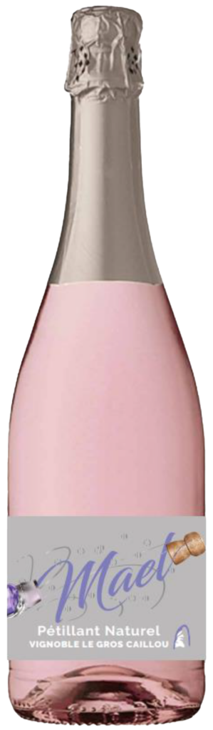 bouteille de vin pétillant saint nicolas de bourgeuil